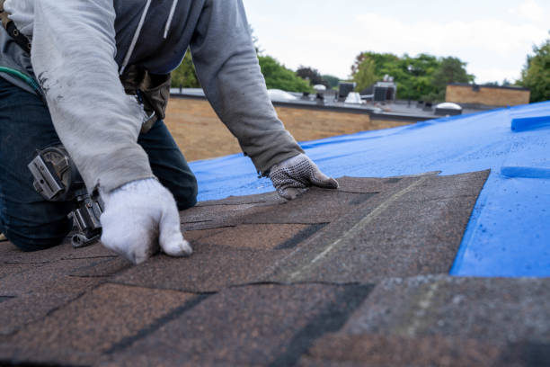 Quick and Trustworthy Emergency Roof Repair Services in Tiltonsville, OH